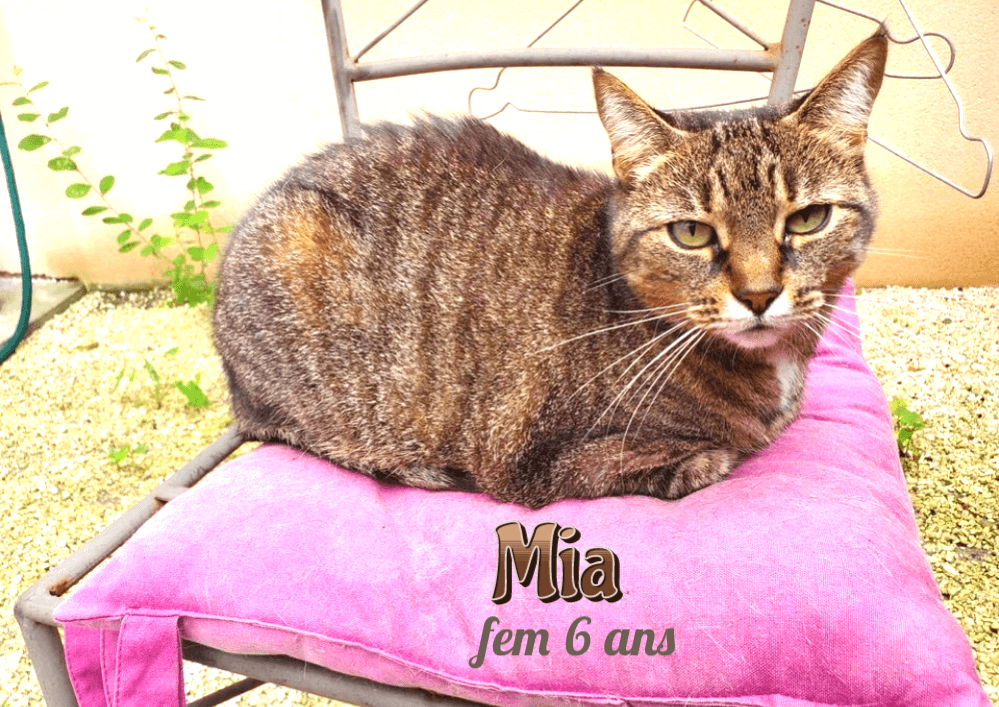 MIA visible sur Le Taillan